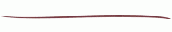 divider2.gif