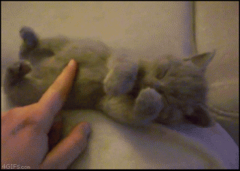 1314950018797.gif