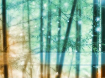 ambitionsbackground002.jpg