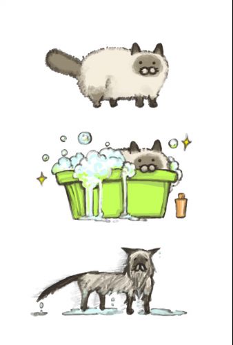 wetpussy.jpg