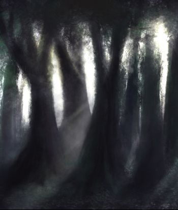 treeeees.jpg
