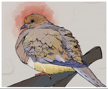 pigeon.png