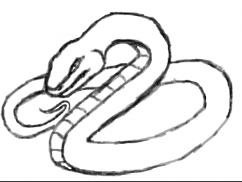 fluffy.png