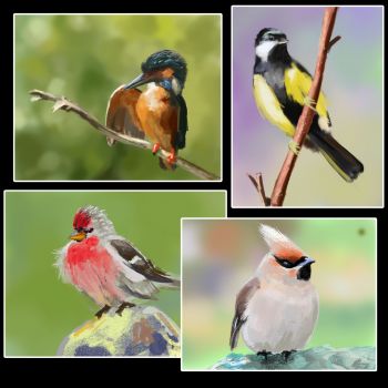 birdcollage.jpg