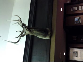 20121221_151219.jpg