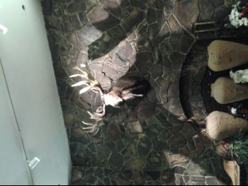 20121221_151235.jpg
