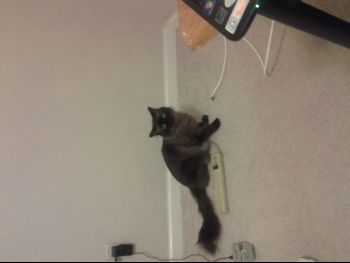 20130317_202435.jpg