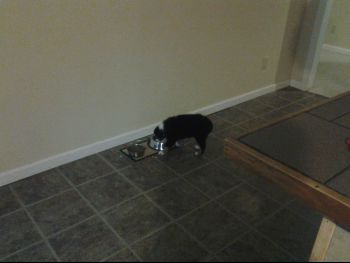 20130502_082625.jpg