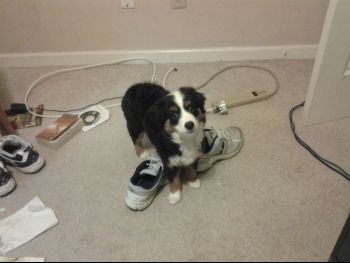 20130511_175055.jpg