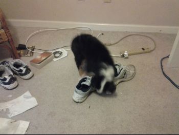 20130511_175041.jpg