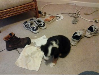 20130511_174953.jpg