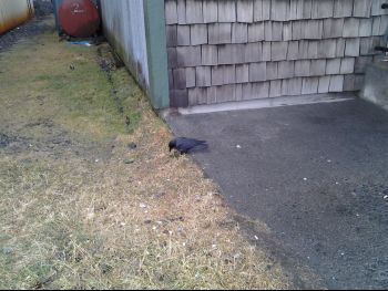 20130112_144151.jpg
