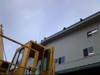 20130127_115617.jpg