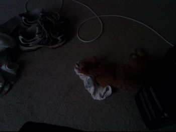 20130904_093152.jpg