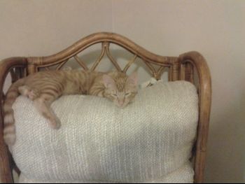 20130919_173235.jpg