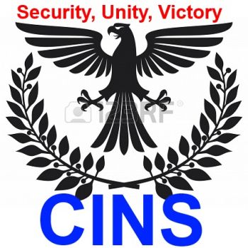 CINS.jpg