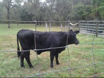 20131102_124913.jpg