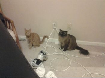 20131110_224932.jpg