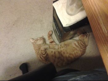 20131127_172835.jpg