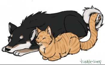 sheeburritocatloafcolor.png