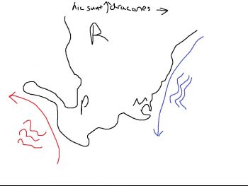 penis.jpg