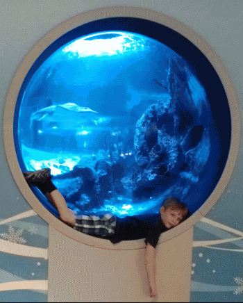 Phoenix-and-Ray.gif