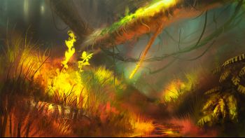 dreamy forest light small.jpg