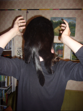 headcatzombie.png