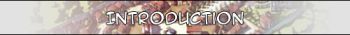 intro.jpg