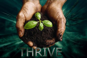 THRIVE Hands logo with background 4.jpg