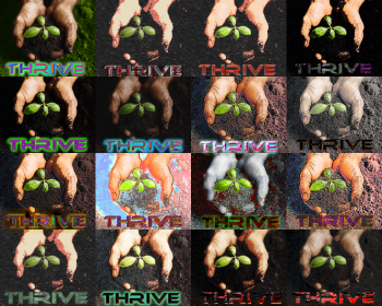 THRIVE Mosaic Banner.png