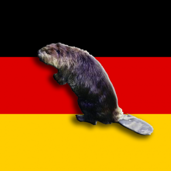 GermanBeaver1.png