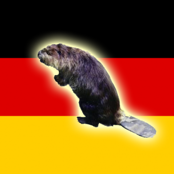GermanBeaver.png