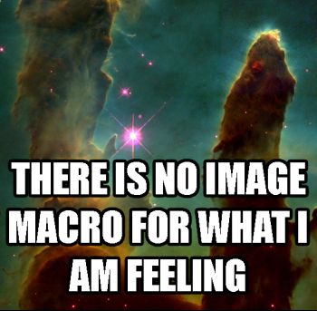 noimagemacro.jpg