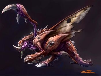 zerg.jpg