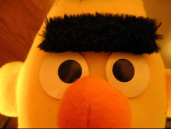 Bert Serious.jpg