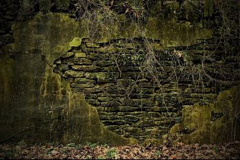 Decay.jpg
