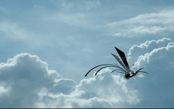 Flight.jpg