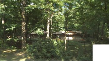 forest.jpg