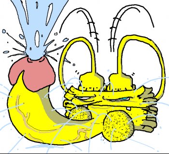 avatarcandidate6.png