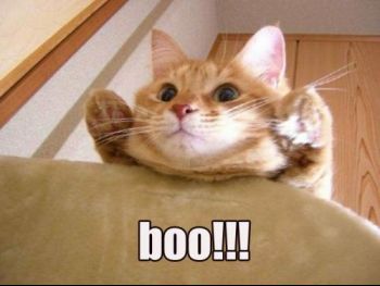 boo.jpg
