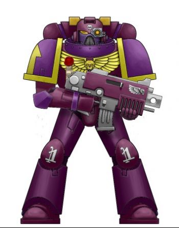 Orchid Corsair.jpg
