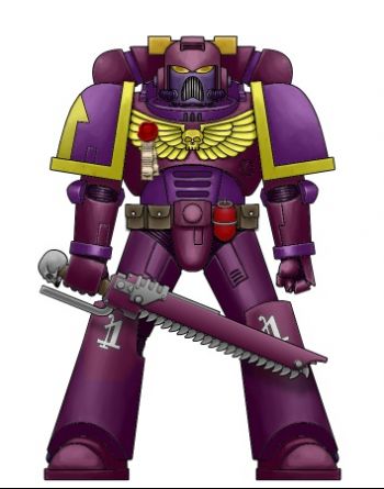 Orchid Corsair 3.jpg