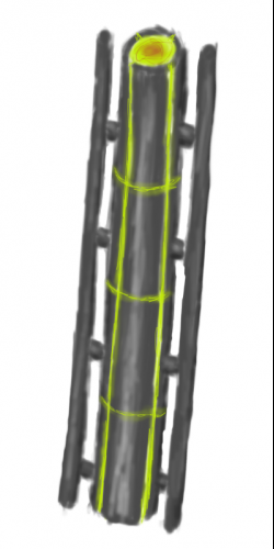 plateswtf.png