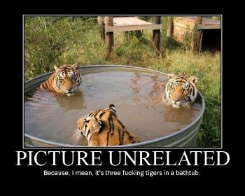 tigers.jpg