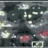 next image