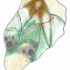 next image