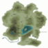 next image