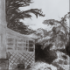 previous image