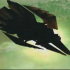 previous image